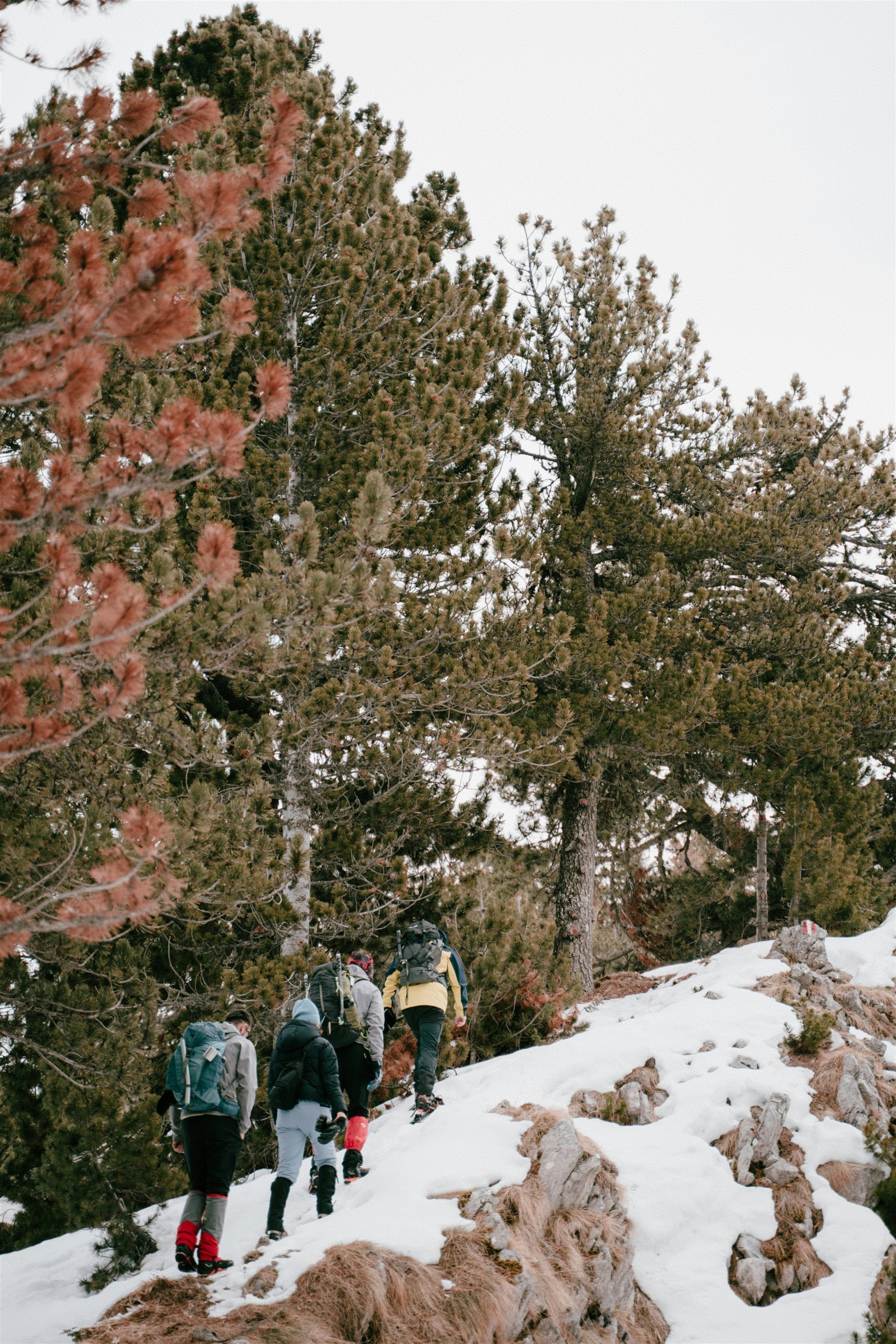 Atlas Mountains Trekking in Morocco
